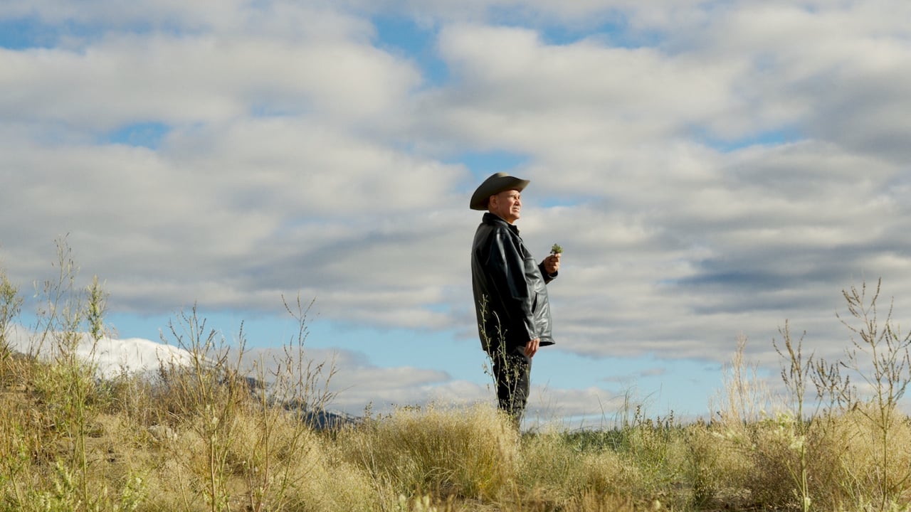 A man in a wide-brimmed hat standing in a grassy field under a big sky