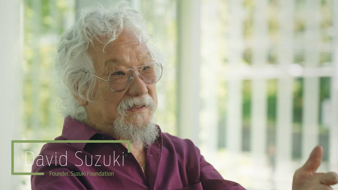 Interview subject at an environmental event