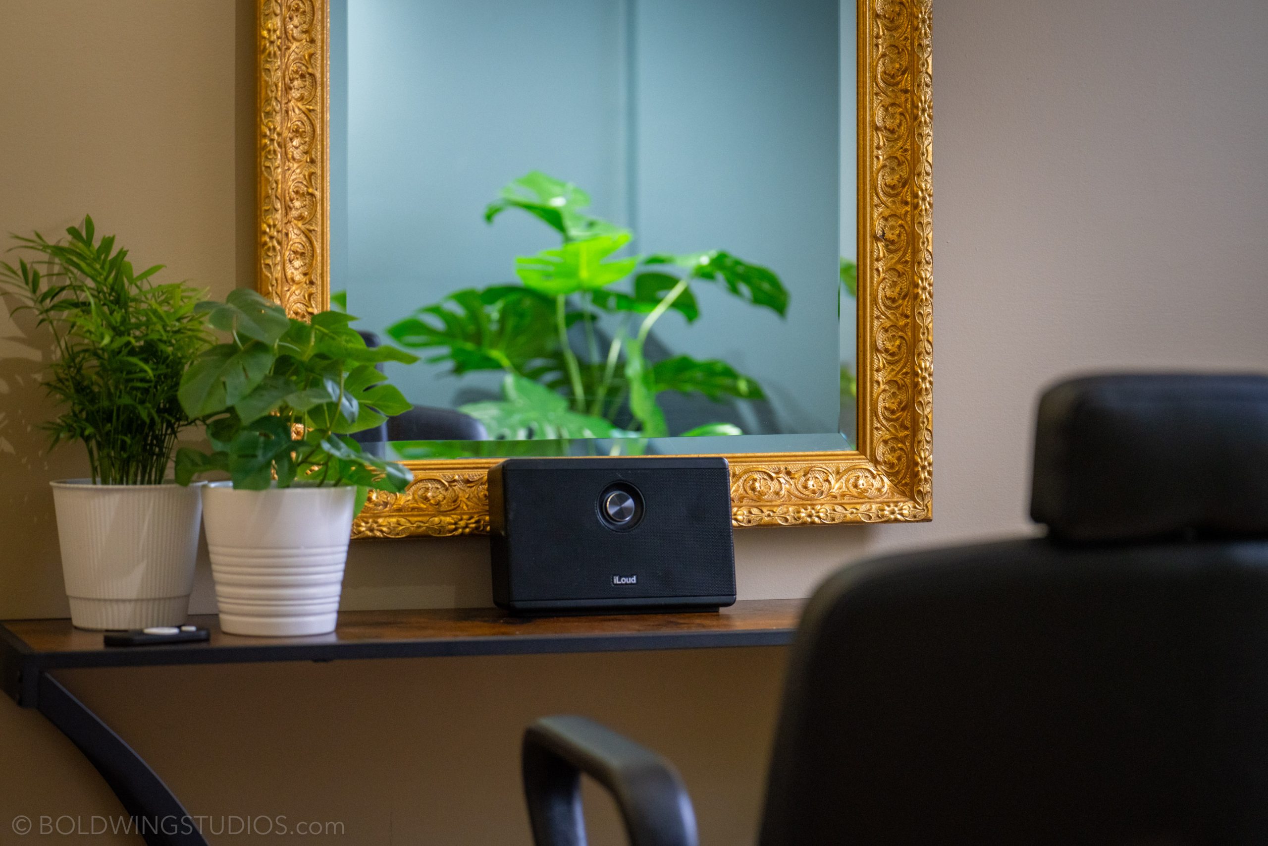 The MediaHive green room with plants and a framed mirror