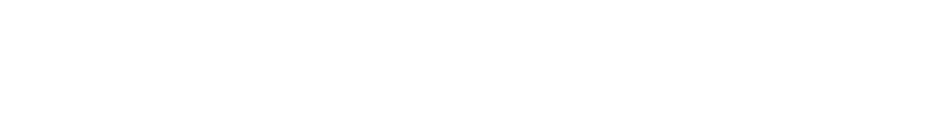 logo light